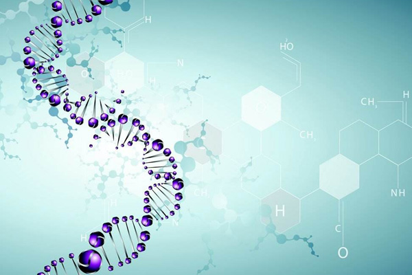 BIOG全血DNA提取试剂盒