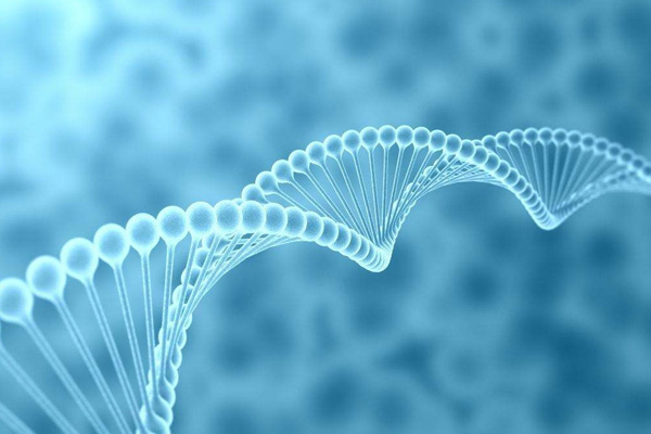 BIOG组织DNA抽提试剂盒