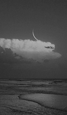 陈某某——医学 主任 