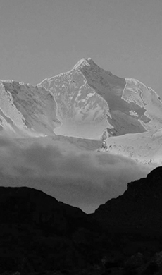 吴某某——**肝胆 中国科学院院士