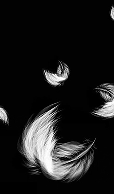 张XXX——内科学系主任  主任