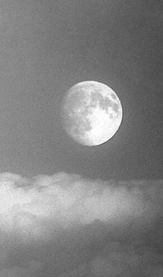 韩某某——中医、生导师