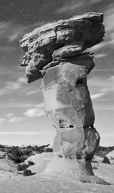 李某某——、某某系主任